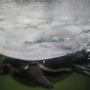 HEYZO极太黑炮爱乃娜美先锋
